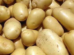 Wholesale health food: High Quality Fresh Potato for Bulk Supply