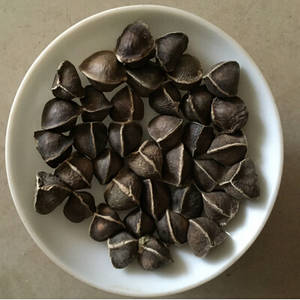Wholesale cashew nut: Cashew Nuts /Pistachio Nut/Pine Nuts /Walnut/Almonds/Mecademia Nuts/Cashew Nuts/Cloves