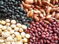 Wholesale speckled kidney bean: Black Kidney Beans/White Kidney Beans/Red Kidney Beans/Speckled Kidney Beans/Haricot Beans