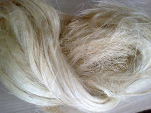 Wholesale ssug sisal: UG Grade Sisal Fiber