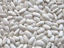 Wholesale green: White,Read,Black Kidney Beans Green Mung Beans