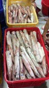Wholesale Frozen Food: Frozen Argentina  Illex Squid W/R  Loligo Squid  and Other Sea Food