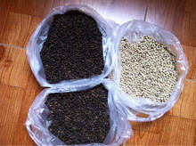 Wholesale used oil to oil: Coco Beans Chiili Black Pepper Kerala ,Sasemseeds,Cloves