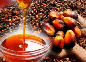 Wholesale hydrogen: Palm Oil