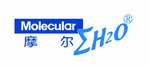 Chongqing Molecular Water System Co.,Ltd Company Logo