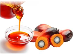 Wholesale natural oil: Palm Oil Natural Palm Oil, Frying Cooking & Table Oil