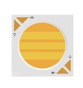 Wholesale image output: 40W 60W CCT Tunable 1919 COB LED