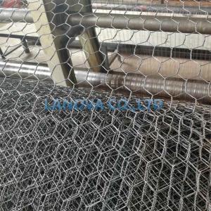 Wholesale black bird netting: Hexagonal Wire Netting