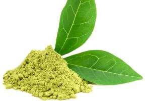 Wholesale green tea extracts: Natural Green Tea Extract for Sale