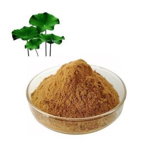 Wholesale reducer: Organic Anti-fungal Lotus Leaf Extract Nuciferine Lotus Leaf Extract Powder