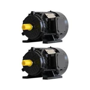 Wholesale ac motor: 380V Permanent Magnet AC Motor B3 / B35 Installation Mode Permanent Magnet Induction Motor