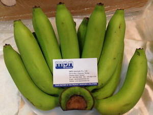 Wholesale baby: Unripe Green Fresh Banana From Thailand