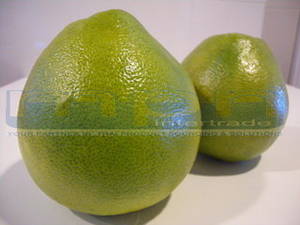 Wholesale transparent container: Fresh Pomelo or Pummelo From Thailand