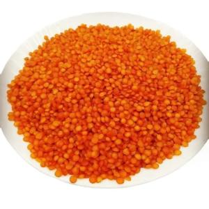 Wholesale lentil: Red Lentils
