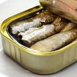 Wholesale canned: Canned Fish Products