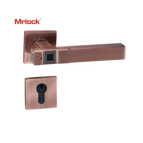 long door handle with keypad lock
