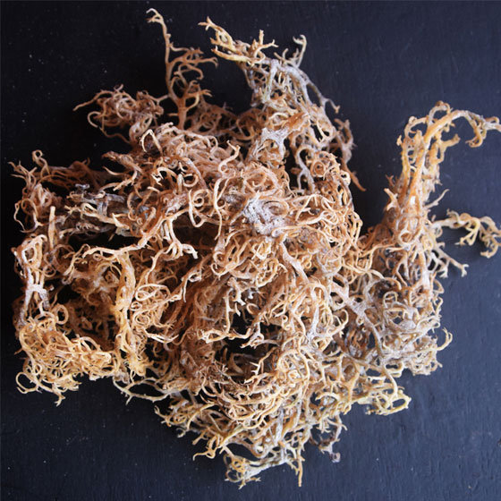 Dried Kappaphycus Striatum(id:9533521). Buy Philippines dried seaweed ...