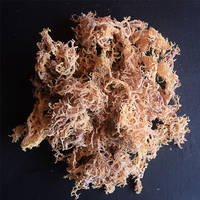 Dried Kappaphycus Striatum 