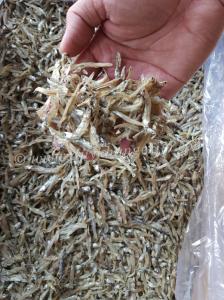 Wholesale seafood: Dried Anchovies