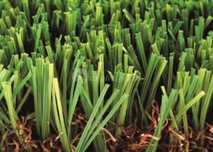 Wholesale garden conservatory: Residential Artificial Grass, MT-Wisdom / MT-Superior