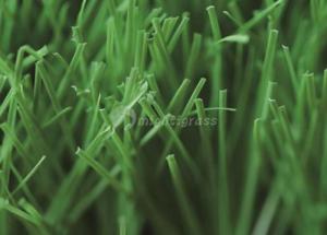 Commercial Artificial Grass, MT-Venus