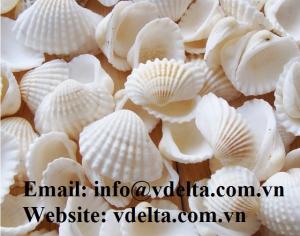 Wholesale animal feed: Pure Calcium Seashell Powder for Animal Feed