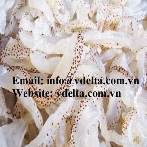 Wholesale price: Salted Jelly Fish - Vietnam 2016 Fish Season - Competitive Price and Quality