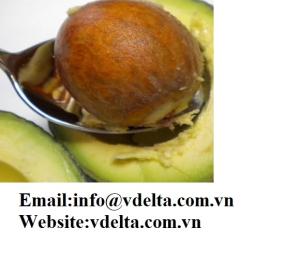 Wholesale seeds: Come From Viet Nam: Avocado Seed From Avocado with High Quality and Good Price
