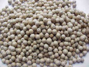 Wholesale pepper: Dried Style and Raw Proccessing White Pepper