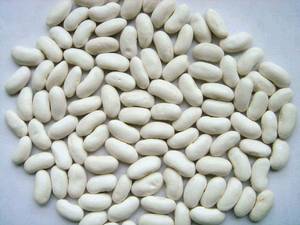 Wholesale tank: Large White Kidney Beans On Sale