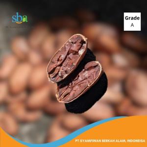 Wholesale fermentation: Cocoa Beans