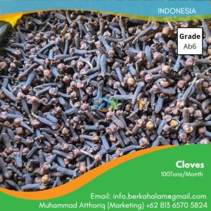 Wholesale cloves: Cloves