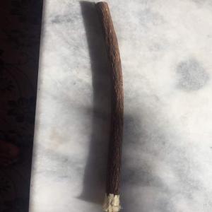 olive miswak stick
