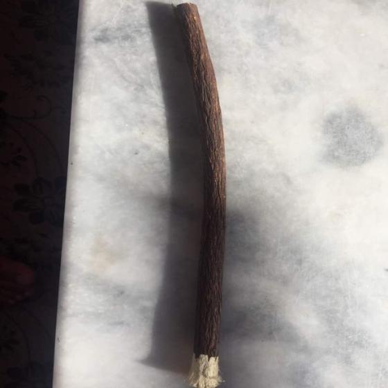 fresh miswak