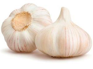 Wholesale garlic: Garlic