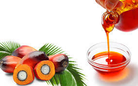Wholesale refined jatropha oil: Palm Oil,Jatropha Oil,Coconut Oil