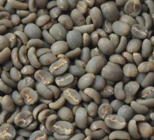Wholesale f: Coffee Bean