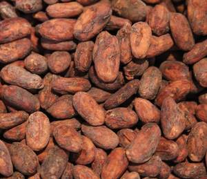 Wholesale drinking: Cocoa
