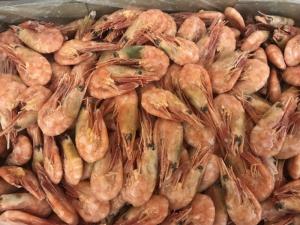 Wholesale veterinary: Nothern Shrimp Murman Wild Seafood Fast Worldwide Delivery From Murmansk Quality Dry Frozen