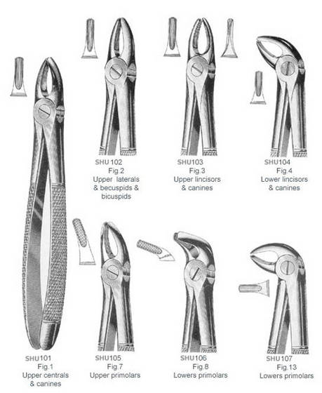 Sell Dental Forceps(id:8833274) from Shu and Cmpany - EC21