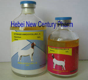 Wholesale horse gram: Amoxicillin Suspension 15%