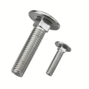 Wholesale sell canned mushroom: DIN 603 Stainless Steel Carriage Bolt