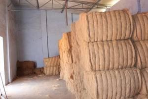 Wholesale Other Agriculture Products: Coconut Fibre