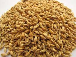 Wholesale Chickpeas: Barley  Straw