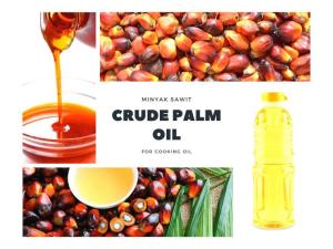 Wholesale fob: Crude Palm Oil