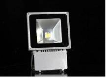 Wholesale LED Lamps: LED Flood Light