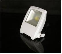 Wholesale LED Lamps: LED Flood Light