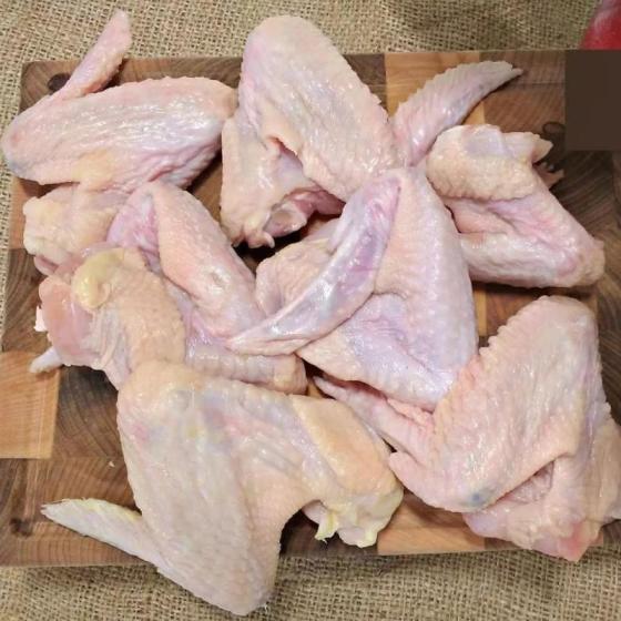 Sell Halal Frozen Whole Chicken / Frozen Chicken Feet / Frozen Chicken Paws