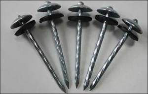 Wholesale screw: Screw Shank Nails