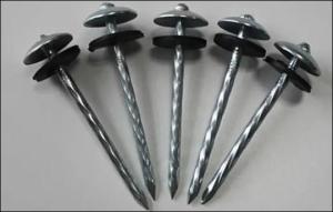 Wholesale vinyl wood flooring: Screw Shank Nails